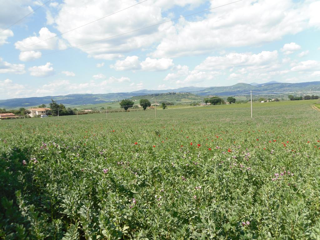 Agriturismo Il Giardino Saturnia Exteriér fotografie