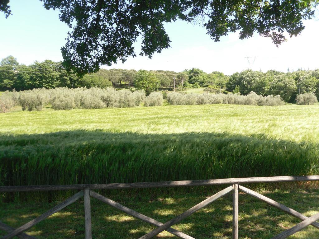 Agriturismo Il Giardino Saturnia Exteriér fotografie